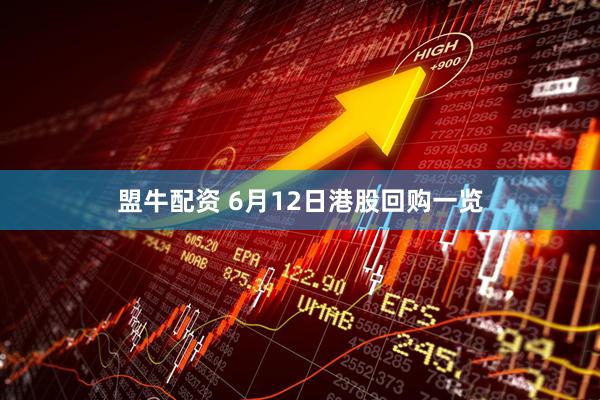 盟牛配资 6月12日港股回购一览