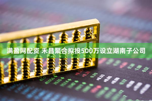 满盈网配资 禾昌聚合拟投500万设立湖南子公司