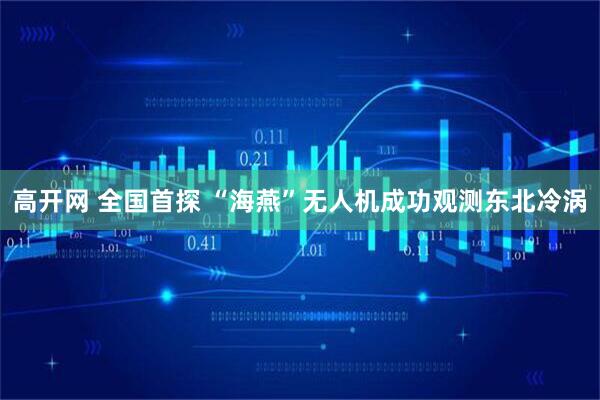 高开网 全国首探 “海燕”无人机成功观测东北冷涡