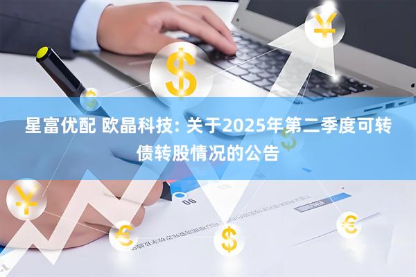 星富优配 欧晶科技: 关于2025年第二季度可转债转股情况的公告