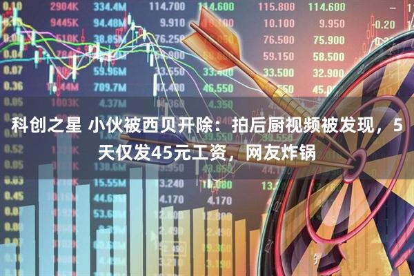 科创之星 小伙被西贝开除：拍后厨视频被发现，5天仅发45元工资，网友炸锅
